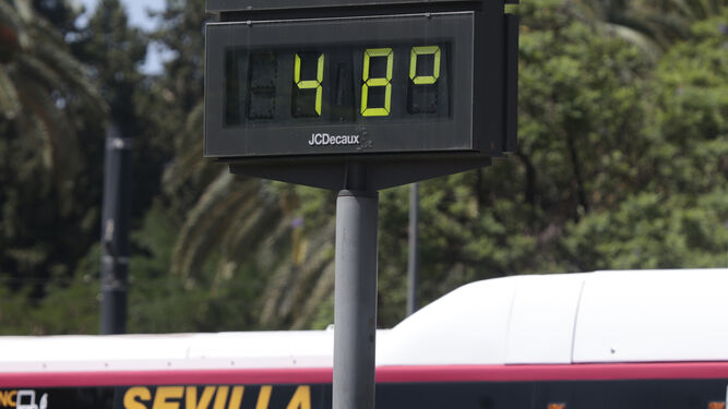 Imágenes de la ola de calor en Sevilla