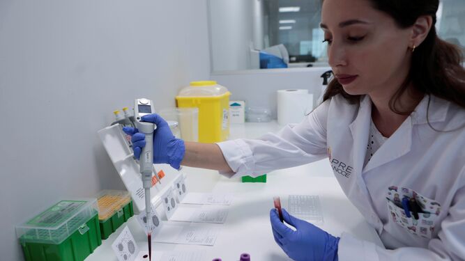 Una investigadora toma muestras de sangre de los ejemplares equinos en los laboratorios de Ancce.