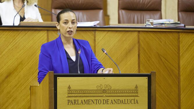 La parlamentaria del PSOE-A, Mercedes Gámez, durante su intervención en el Parlamento.