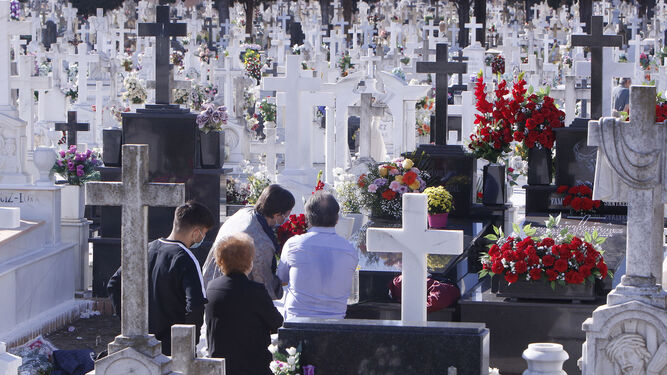 Varias personas ponen flore en una tumba en el cementerio de San Fernando, en Sevilla capital.