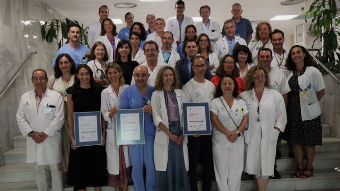 Los profesionales de las tres unidades junto a la delegada de Salud de Sevilla y la ACSA tras la entrega de tal distinción.