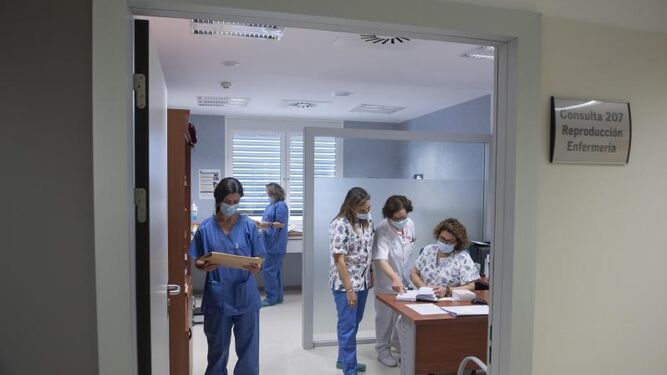 Personal sanitario en un centro hospitalario de Sevilla.
