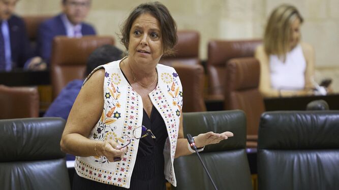 La consejera de Salud, Catalina García, en una comparecencia en el Parlamento andaluz.