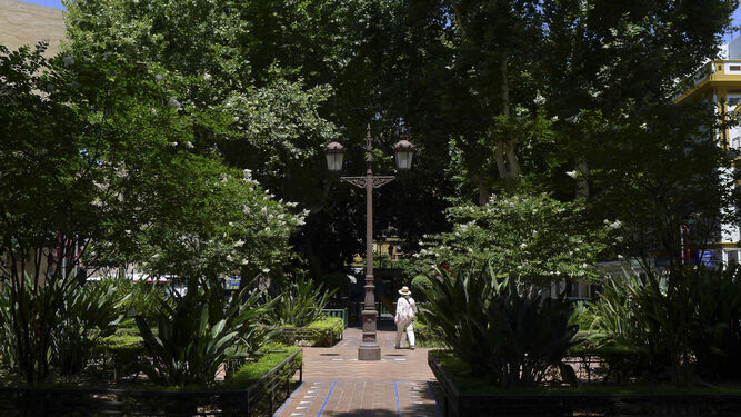 La frondosa Plaza Cristo de Burgos, con sus árboles de gran porte.