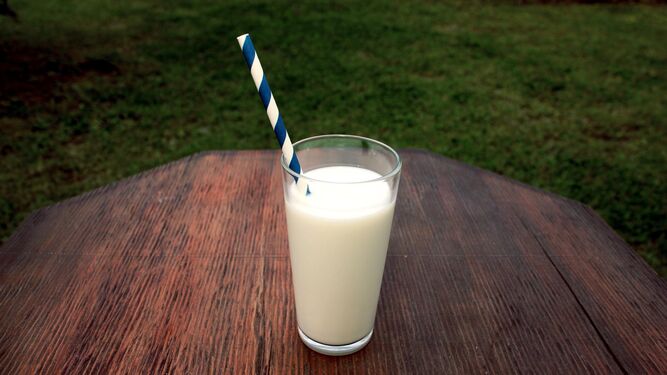Esta es la mejor marca de leche de nuestro país según la OCU