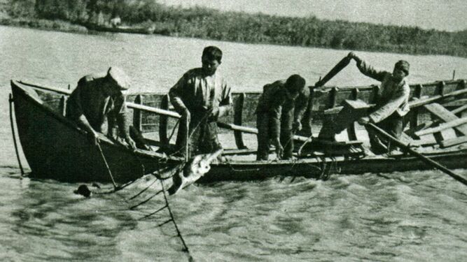 Pescando esturiones. Año 1945.