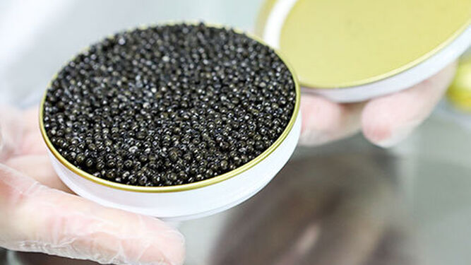 Una lata de caviar Riofrío