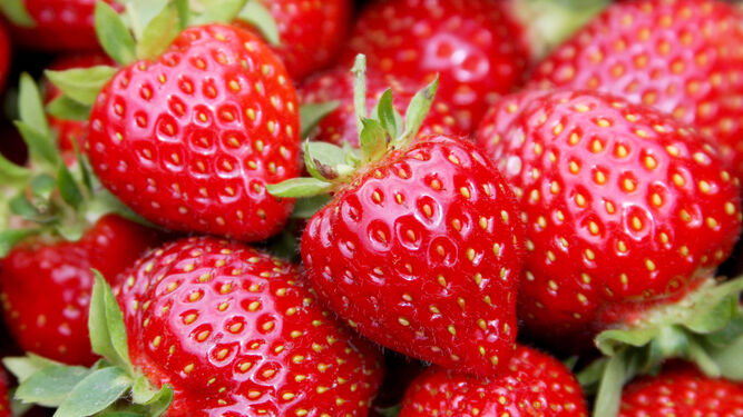 La fresa es una fruta rica en vitamina C.