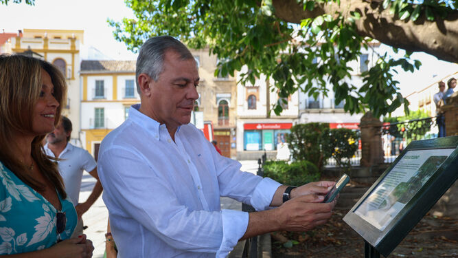 El PSOE recuerda a José Luis Sanz que el catálogo de árboles singulares de la ciudad fue presentado en noviembre