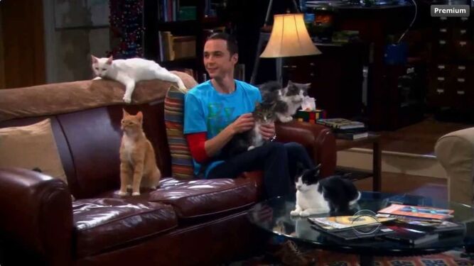 Sheldon Cooper entre los gatos del Proyecto Manhattan