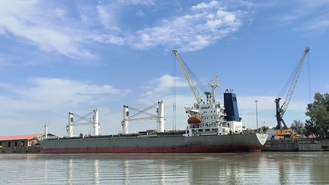 El Puerto de Sevilla recibe tres buques de grandes dimensiones en los últimos días