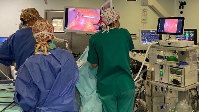Especialistas en Aparato Digestivo realizan una endoscopia, en una imagen de archivo.