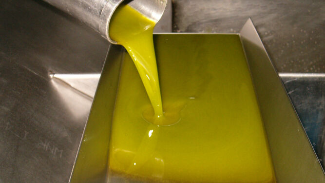 Aceite de oliva en una almazara