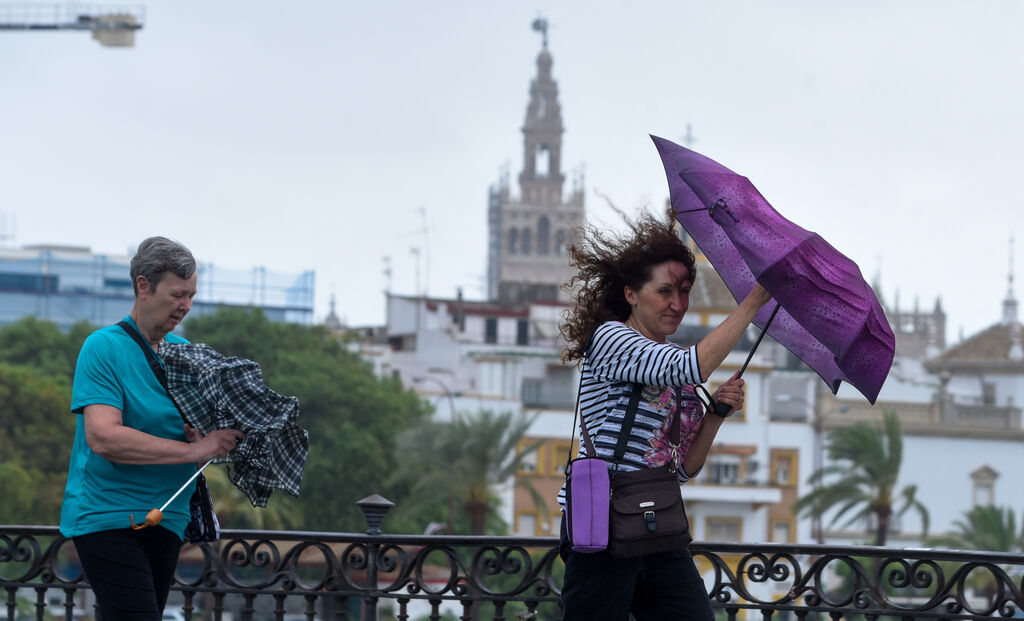 Im&aacute;genes del temporal de lluvia y viento en Sevilla