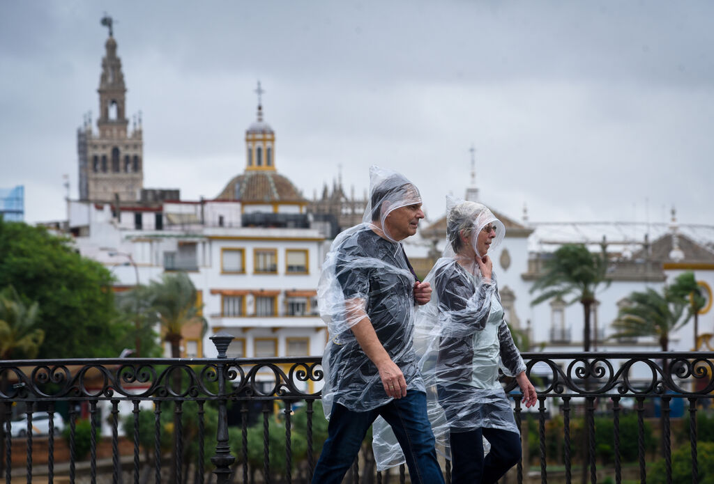 Im&aacute;genes del temporal de lluvia y viento en Sevilla