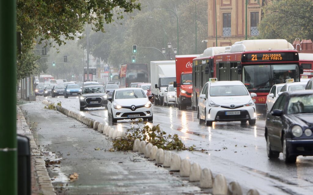 Temporal de lluvia y viento en Sevilla