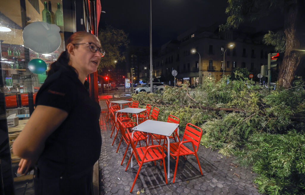 Los efectos de la borrasca 'Bernard' en Sevilla, todas las fotos