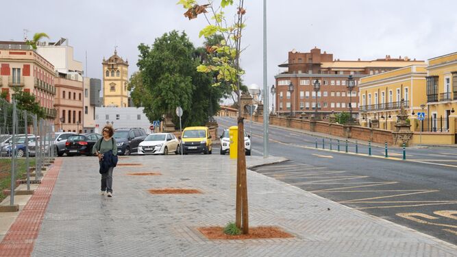 Cinco nuevos alcorques en la calle Eduardo Dato de Sevilla