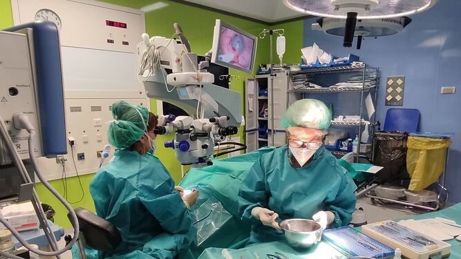 La doctora Beatriz Mataix, oftalmóloga de Quirónsalud Sagrado Corazón, realizando un trasplante de córnea.