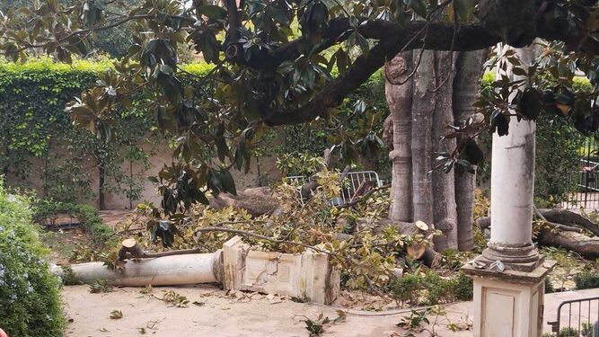 Una de las columnas del Jardín de la Danza derribada por las ramas del magnolio.