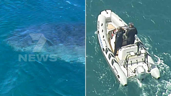 Un surfista de 55 años muere por el ataque de un tiburón en el sur de Australia