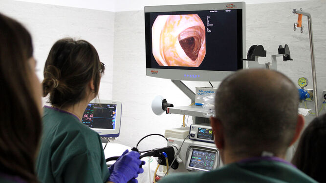 Personal sanitaria durante la realización de una endoscopia, en una imagen de archivo.