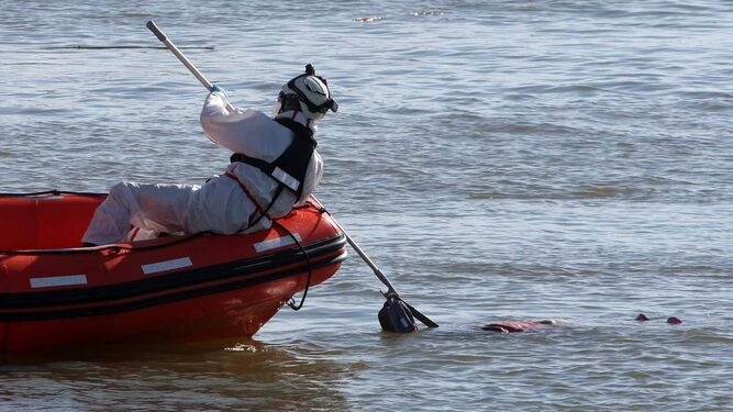 Un miembro de los servicios de Emergencias saca el cadáver del agua.