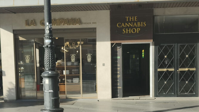El comercio 'Cannabis Shop' junto a la cafetería La Campana en la Avenida de la Constitución.