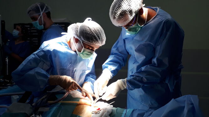 Dos cirujanos durante una intervención en el quirófano.