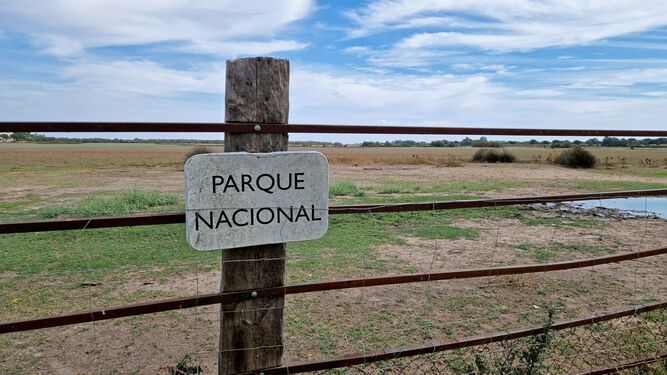 Imagen del Parque Nacional de Doñana en las inmediaciones de la aldea de El Rocío.