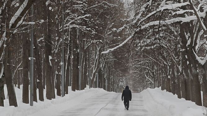 Un hombre pasea en la nieve