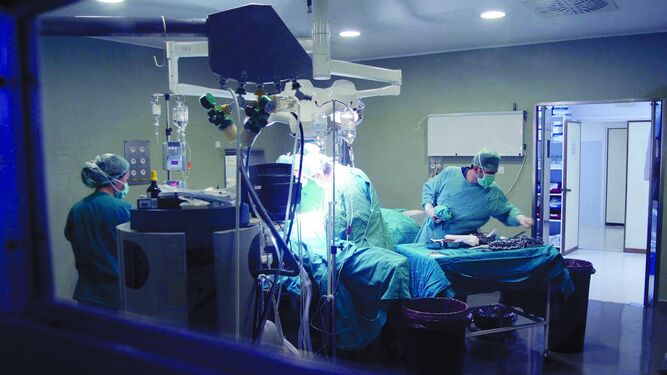El interior de un quirófano en plena intervención quirúrgica en el Hospital Virgen del Rocío.