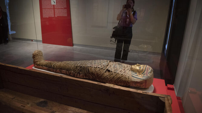 Una sala de la exposición 'Momias de Egipto'.