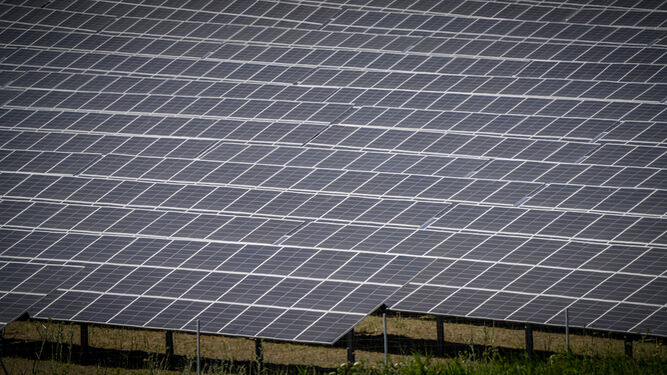 Paneles solares de una planta fotovoltaica construida en Jerez.