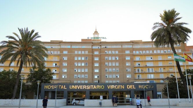 Carrera solidaria desde el Hospital Reina Sofía de Córdoba al Virgen del Rocío en Sevilla