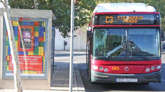 Transporte gratuito en Sevilla en 2024: requisitos y cómo funciona