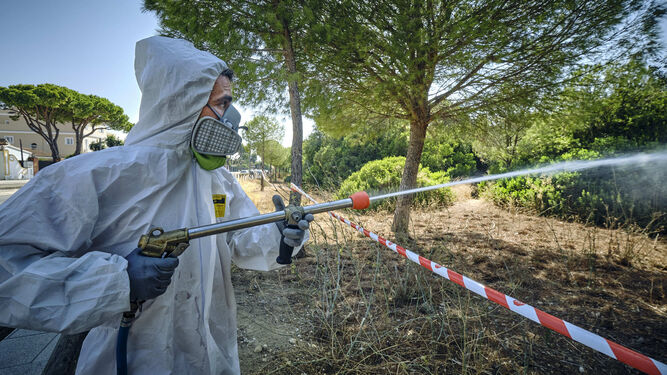 Un técnico fumiga contra el mosquito del virus del Nilo en Las Canteras (Cádiz)