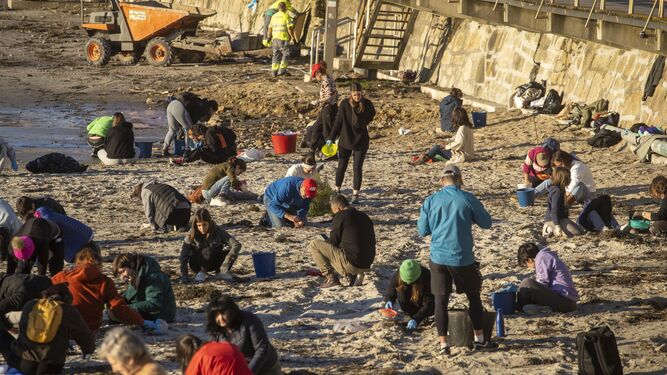 Los voluntarios rastrean las playas gallegas en busca de los pellets.