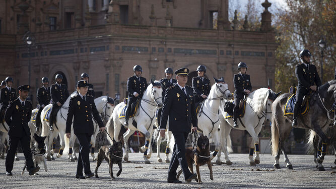 Policías en la plaza de España, en el día de San Antón de 2023.