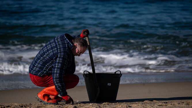 Un voluntario recoge pellets de plástico en una playa de Galicia