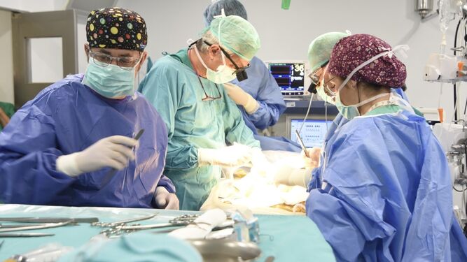 Un trasplante en el hospital Reina Sofía.