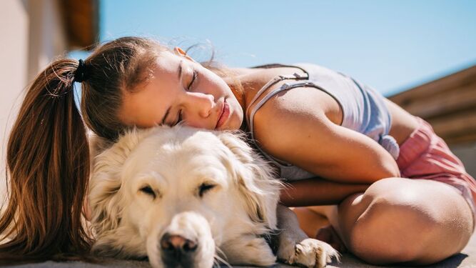 Las terapias asistidas con perros reducen un 60% la medicación de los pacientes con depresión