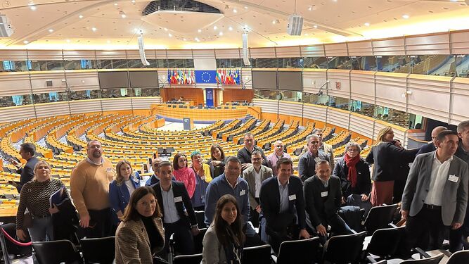 Alcaldes y diputados provinciales de la Sierra Sur en el Parlamento Europeo.