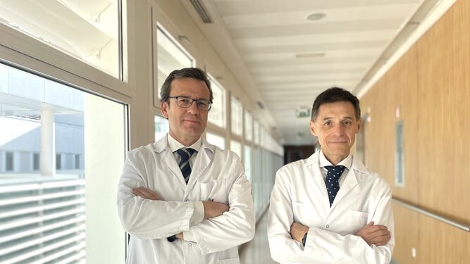 Los doctores Antonio Amaya y Fernando de la Portilla.
