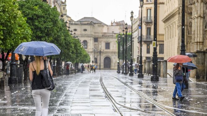 Varias personas con paraguas por la Avenida de la Constitución de Sevilla