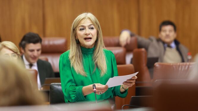 La consejera de Desarrollo Educativo, Patricia del Pozo, este jueves en el Parlamento.