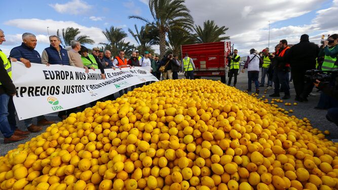 Agricultores arrojan limones al suelo en Alicante