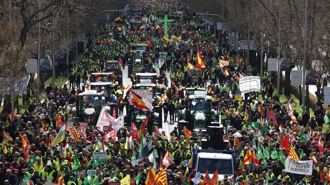 Los agricultores vuelven a tomar Madrid, esta vez bajo el paraguas de las principales organizaciones agrarias