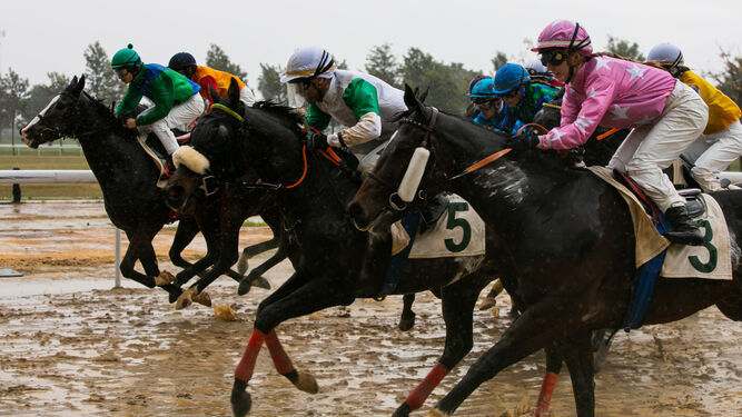 Una imagen de las carreras de caballos en Pineda.