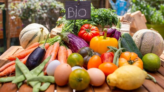 Cómo distinguir un producto bio en el supermercado y qué beneficios tiene